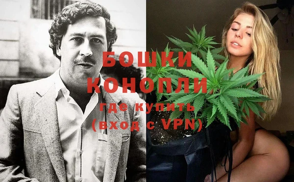 индика Протвино